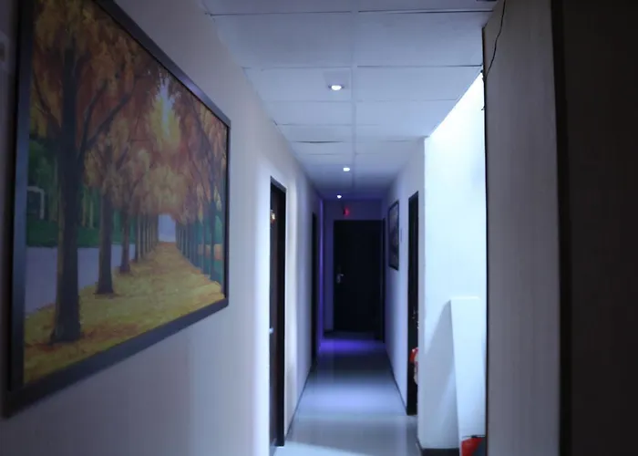 Hotel House 3*